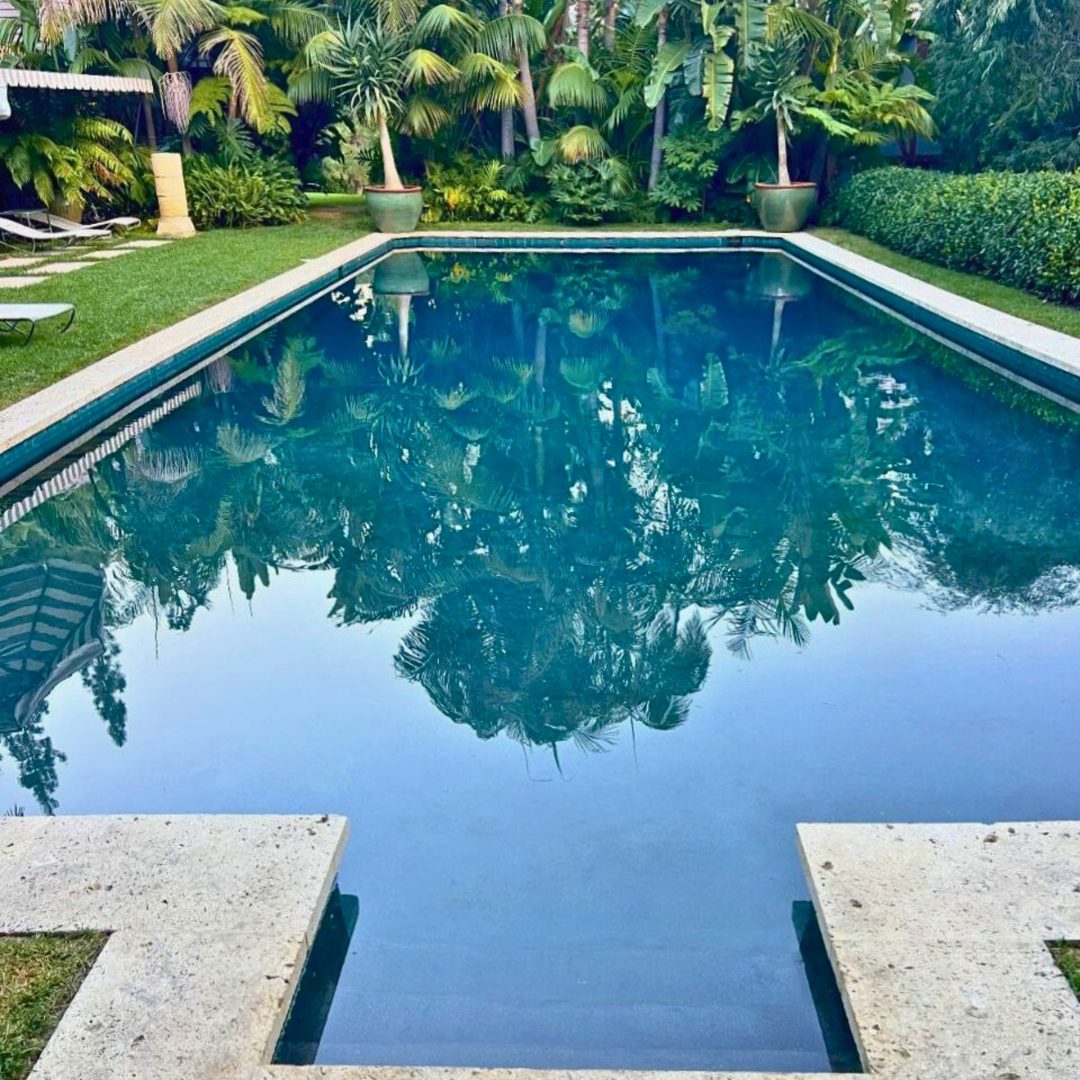 Formal pool with stone coping framed by palms
