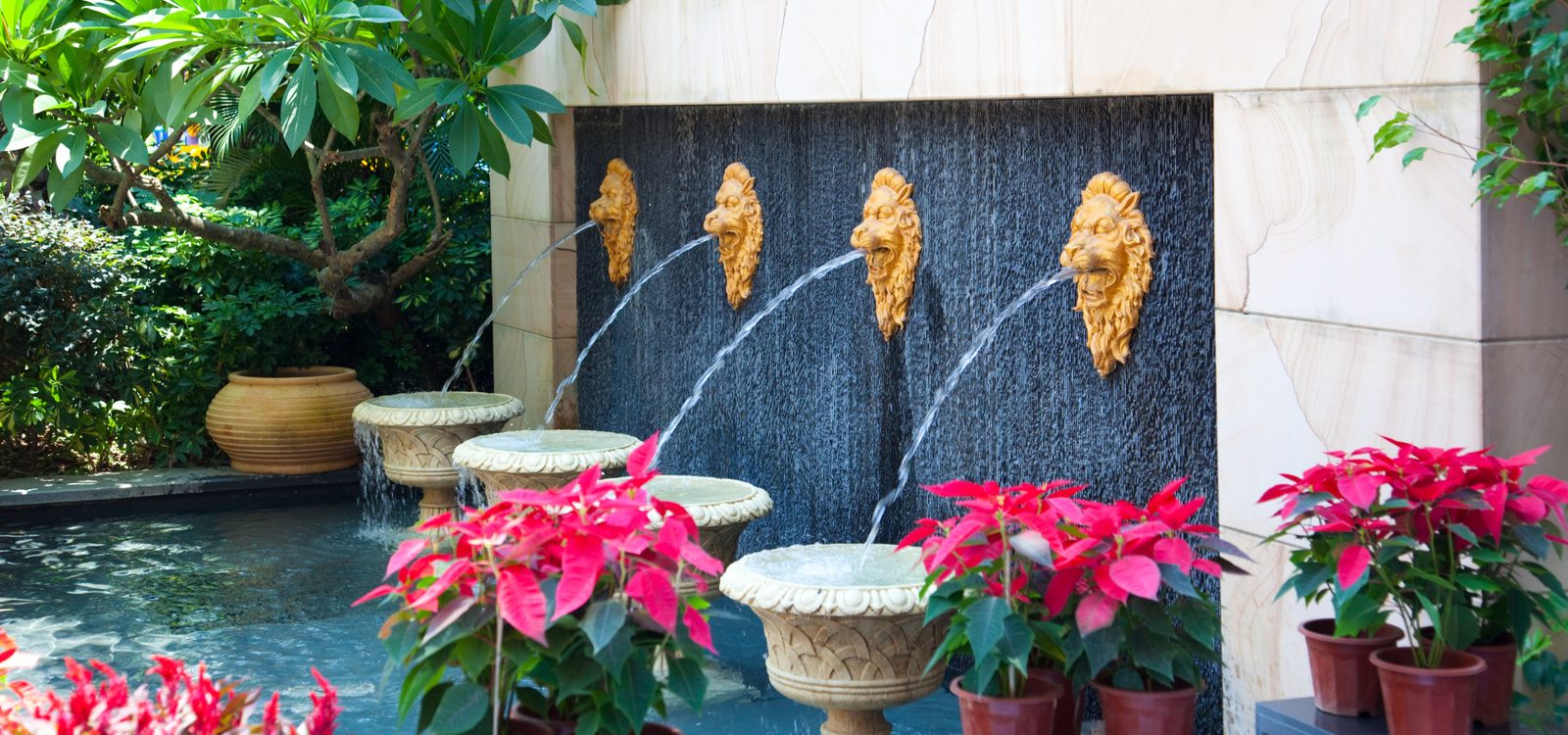 Lion-head spouts on a tiled water wall with poinsettias