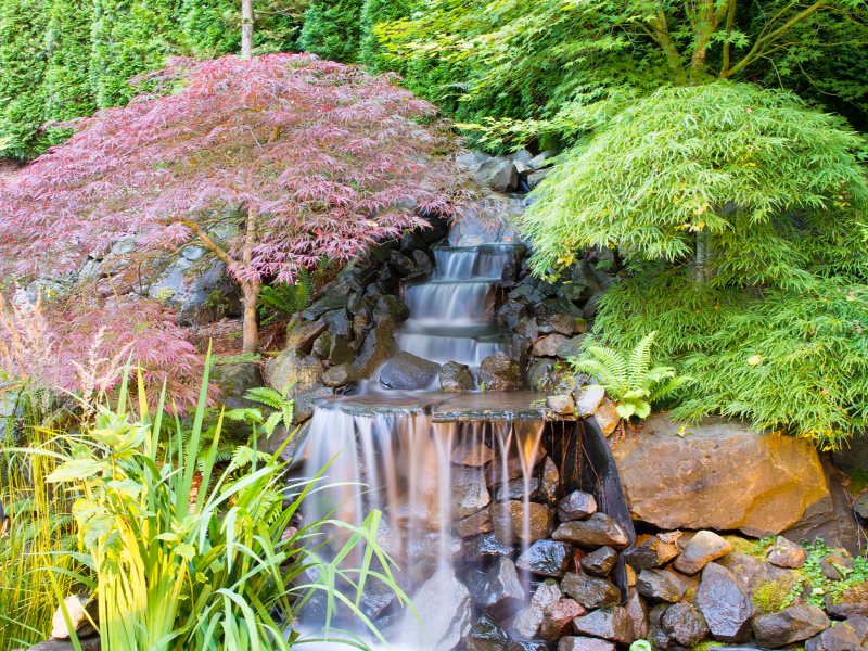 Tiered rock waterfall framed by Japanese maples and ferns