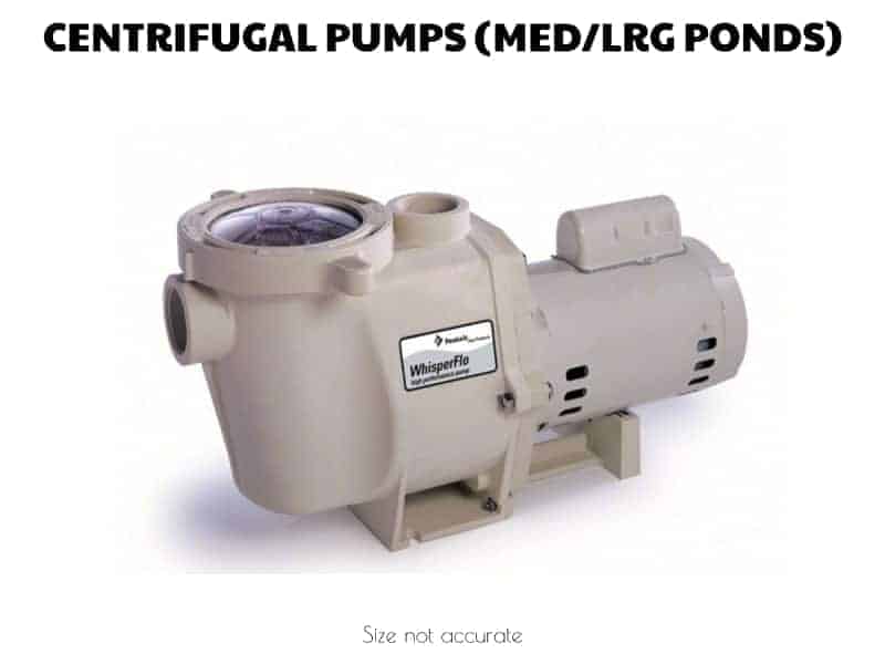 pentair koi pond pump