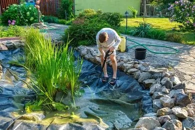 pond Maintenance