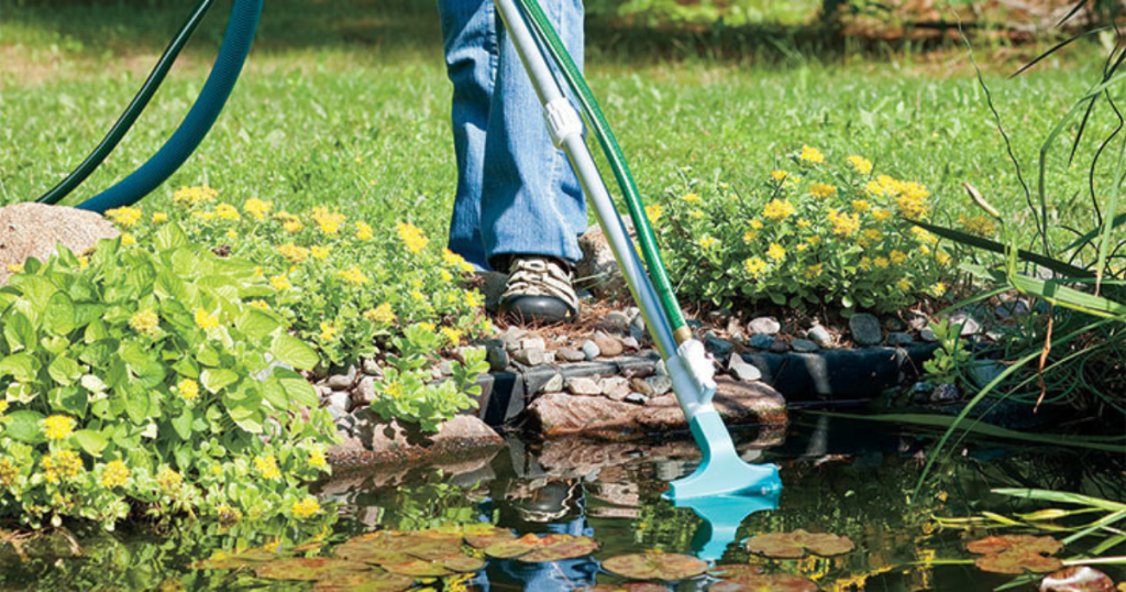 Spring Pond Cleaning Tips