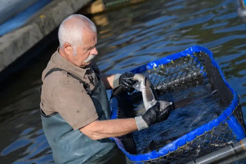 pond cleaning