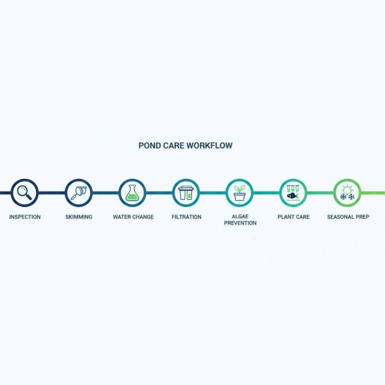 Timeline showing inspection, cleaning, filtration service, testing, and prevention steps