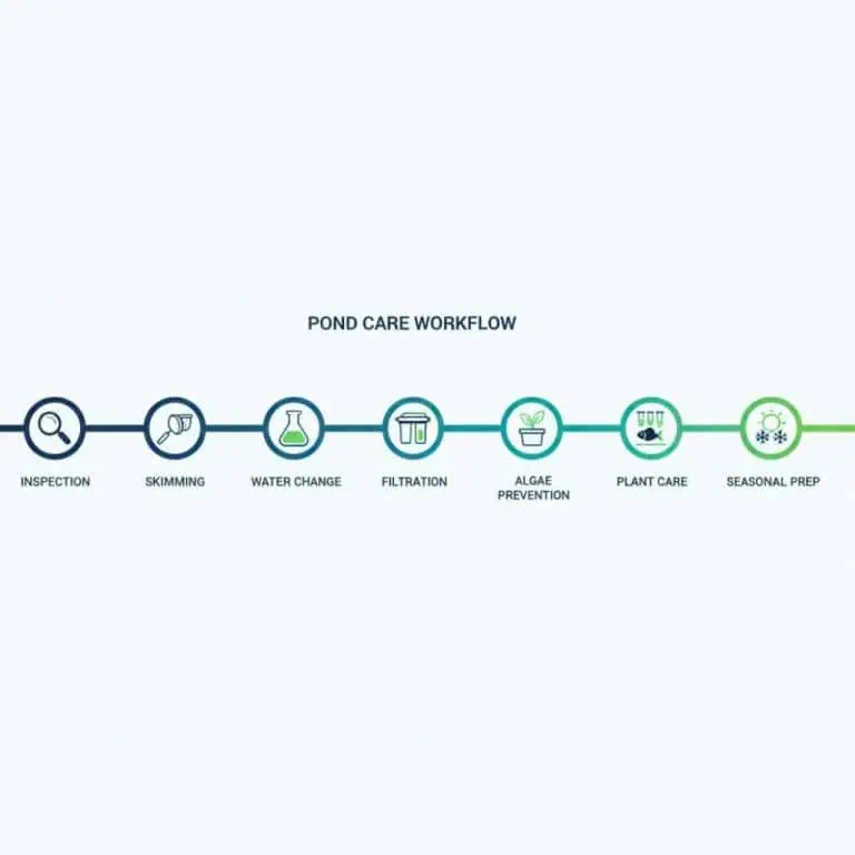 Timeline showing inspection, cleaning, filtration service, testing, and prevention steps
