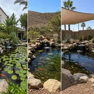 Koi pond with waterfall and lush plants in a backyard setting.