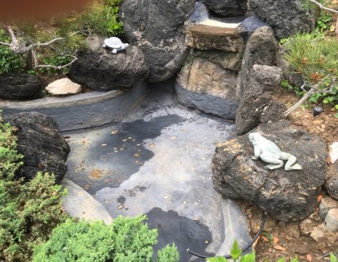 Drained concrete pond with exposed rock and a frog statue before leak repair