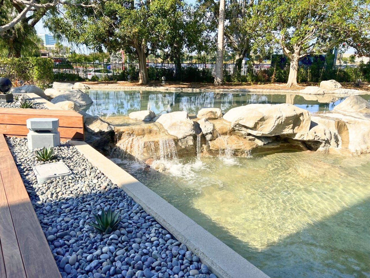 Commercial boulder pond and waterfall with ipe deck