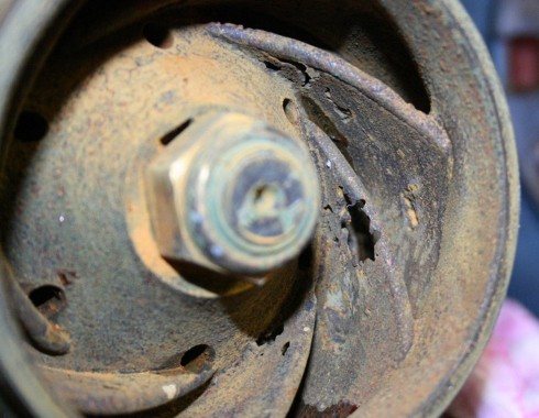 What to Do When Your Pond Pump Not Working?