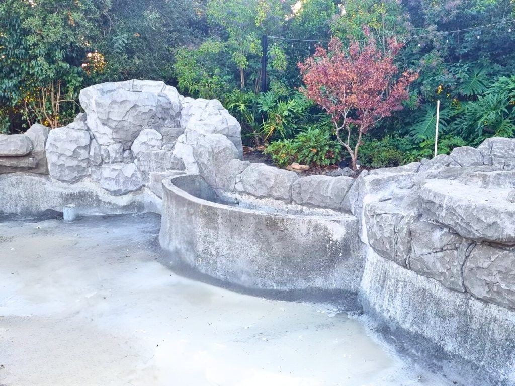 Pond Rebuilding & Fish Handling 101 – If You Rebuild Your Koi Pond You Need to Handle Your Fish Right?