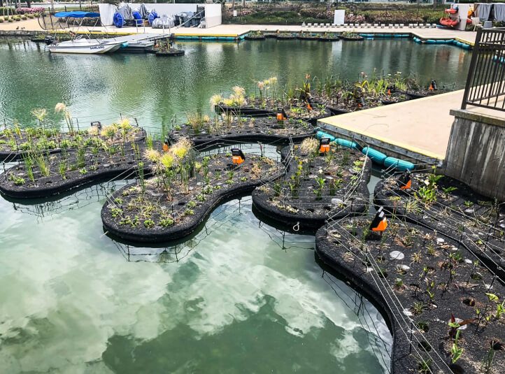 Floating wetland islands planted and anchored beside a marina dock