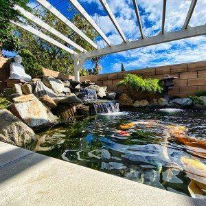 How Much Does Pond Maintenance Cost?