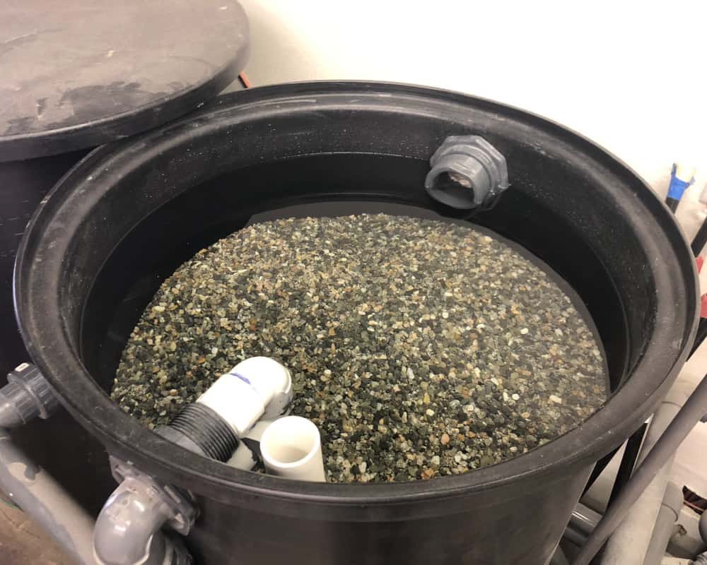 Biological Filtration for Koi Ponds: How It Works and When It Fails