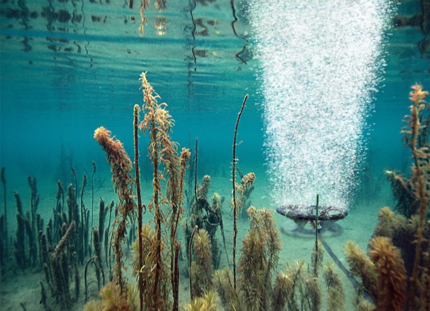 Bottom diffuser releasing a column of bubbles underwater in a lake