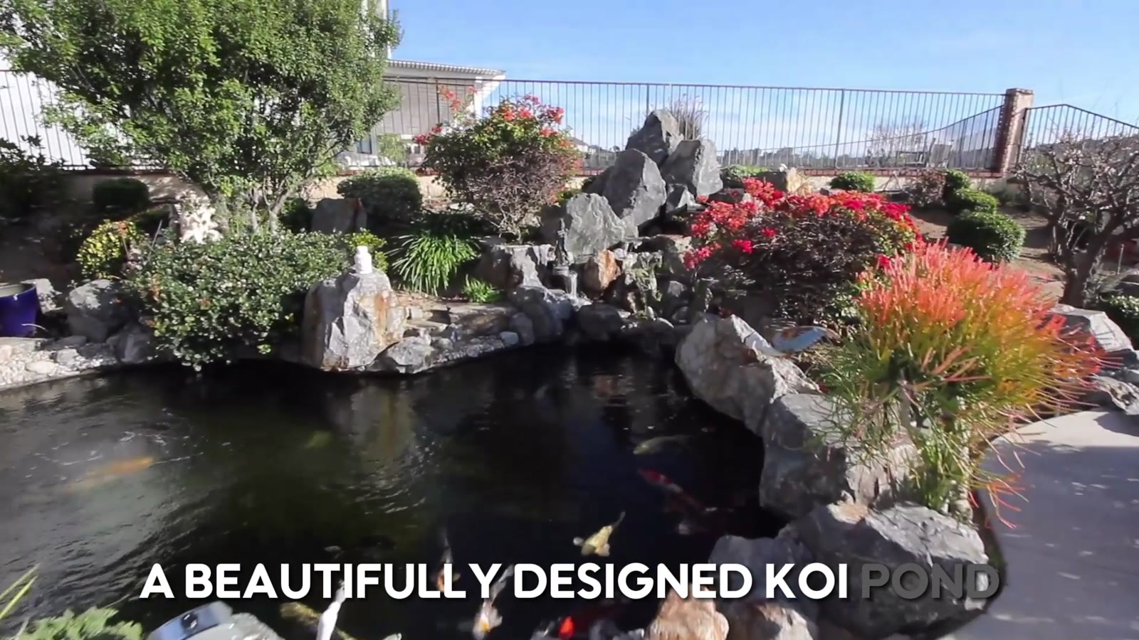 Koi Pros pond design and construction projects