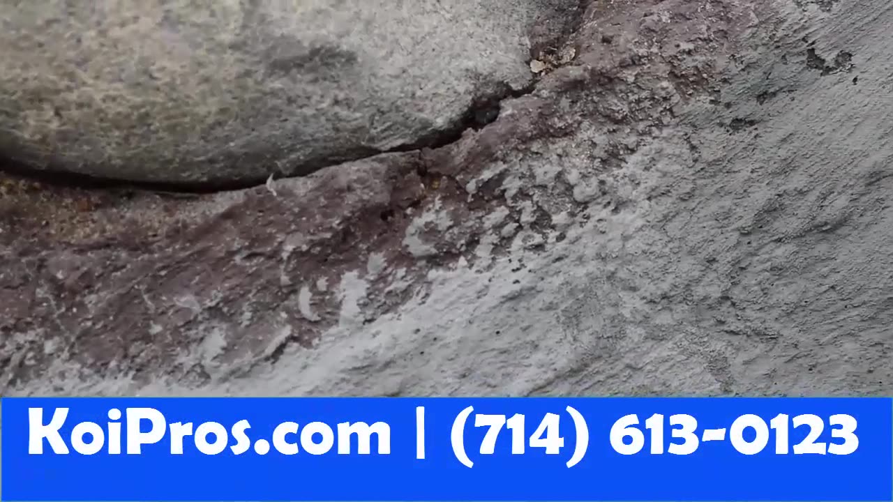 Fresh sealer coat curing on a concrete pond shell