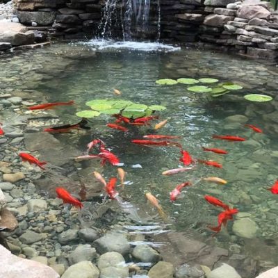 98fa6cf46e15cda615b4761dcbbb8c59