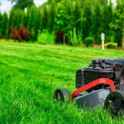 ?????????????????????