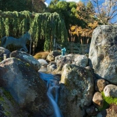 ??????????????????????