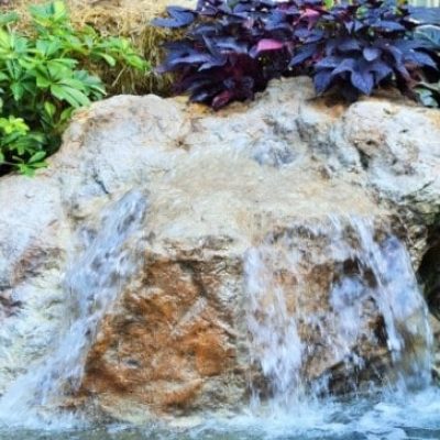 ?????????????????????????