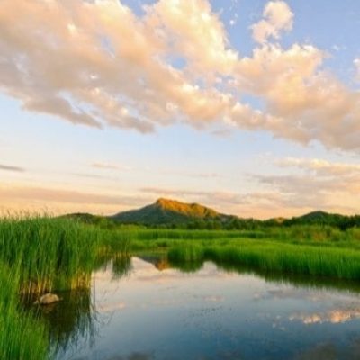 ???????????????????????