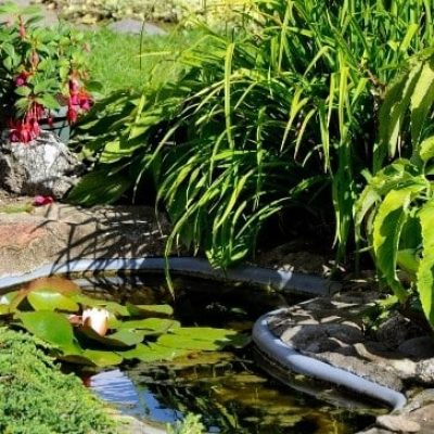 ????????????????????????