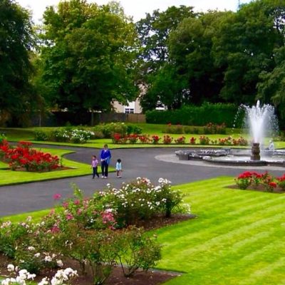 ed1455a06604778128377a9625a69546