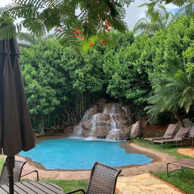 pexels-photo-14402819